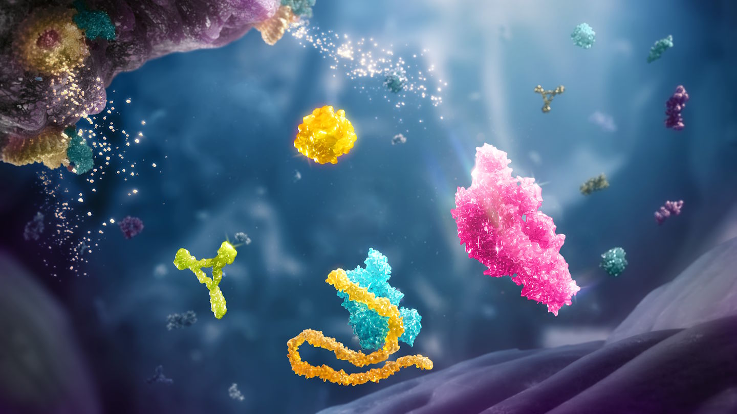 Complement Inhibition